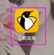企鹅直播体育直播：从入门到精通，轻松畅享赛事乐趣